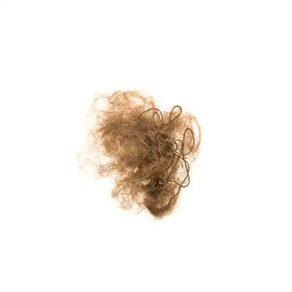 Expediere rapidă Fileu par coc Raphael Perrier Brown Invisible Updo Net 2 buc