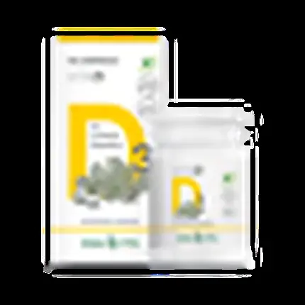 Supliment Vitaminic, ErbaVita, Vita D Lichen, 100 tablete dizolvare Discount