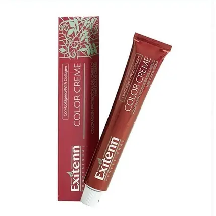Plată securizată Cremă vopsea păr, Exitenn, Color Creme, 11/0 Ash Blonde, 60 ml