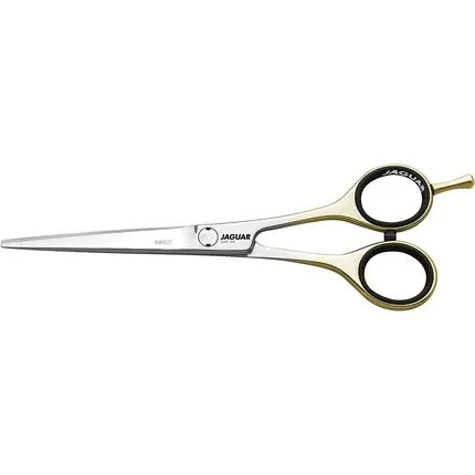 Foarfecă de păr Jaguar Perfect, 5.5 Inch (14cm), argintie cu elemente aurii Vezi acum